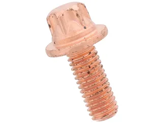 Victor Reinz Bolt - 0009906703